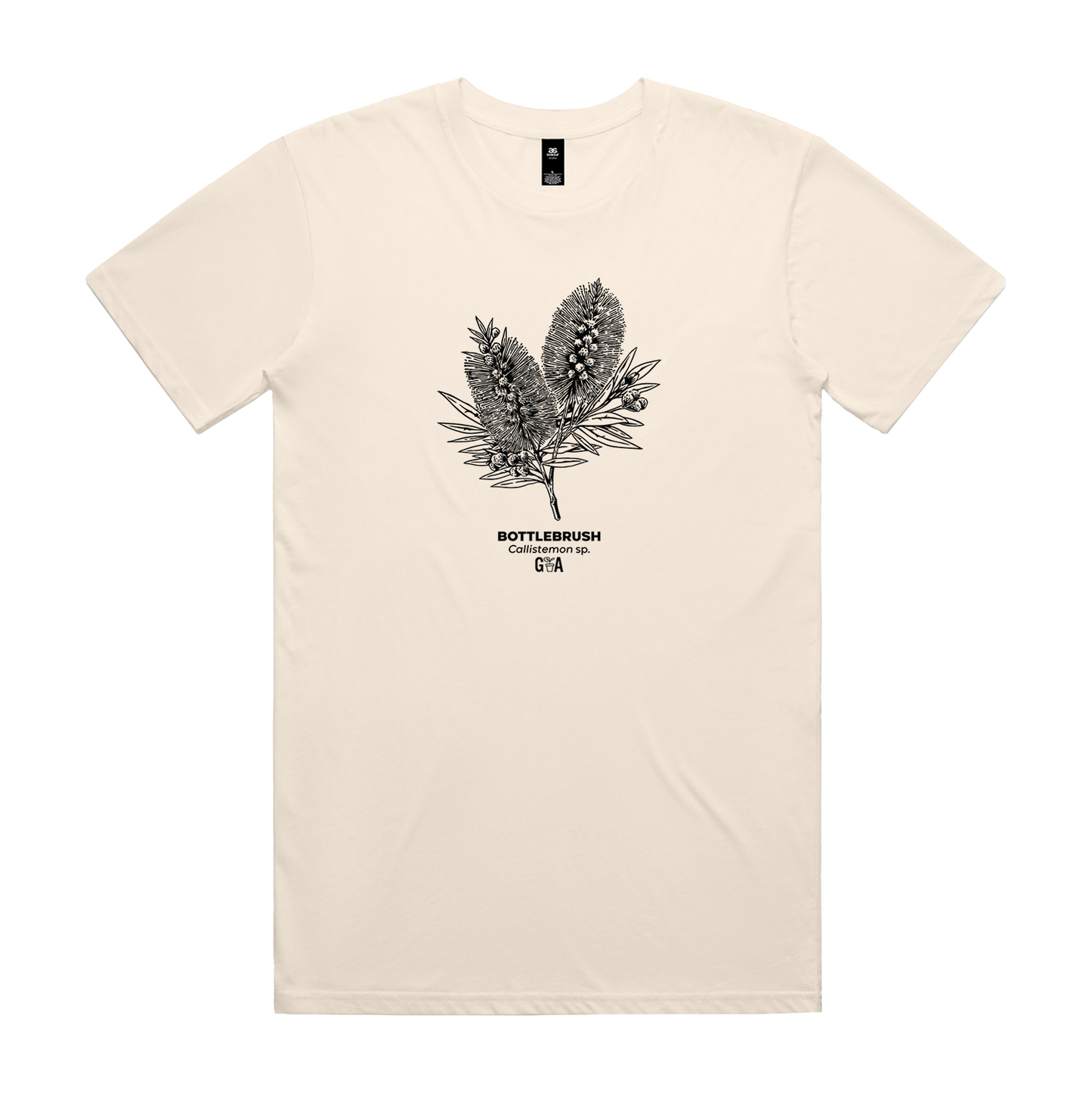 Bottlebrush Callistemon sp. Tee