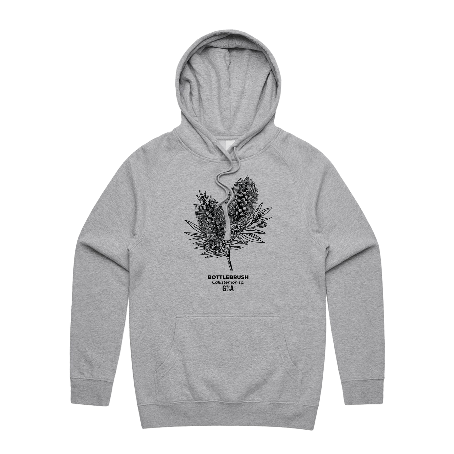 Bottlebrush Callistemon sp. Grey Marle Hoodie