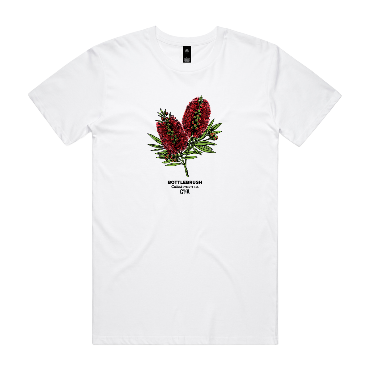 Bottlebrush Callistemon sp. Coloured Tee White