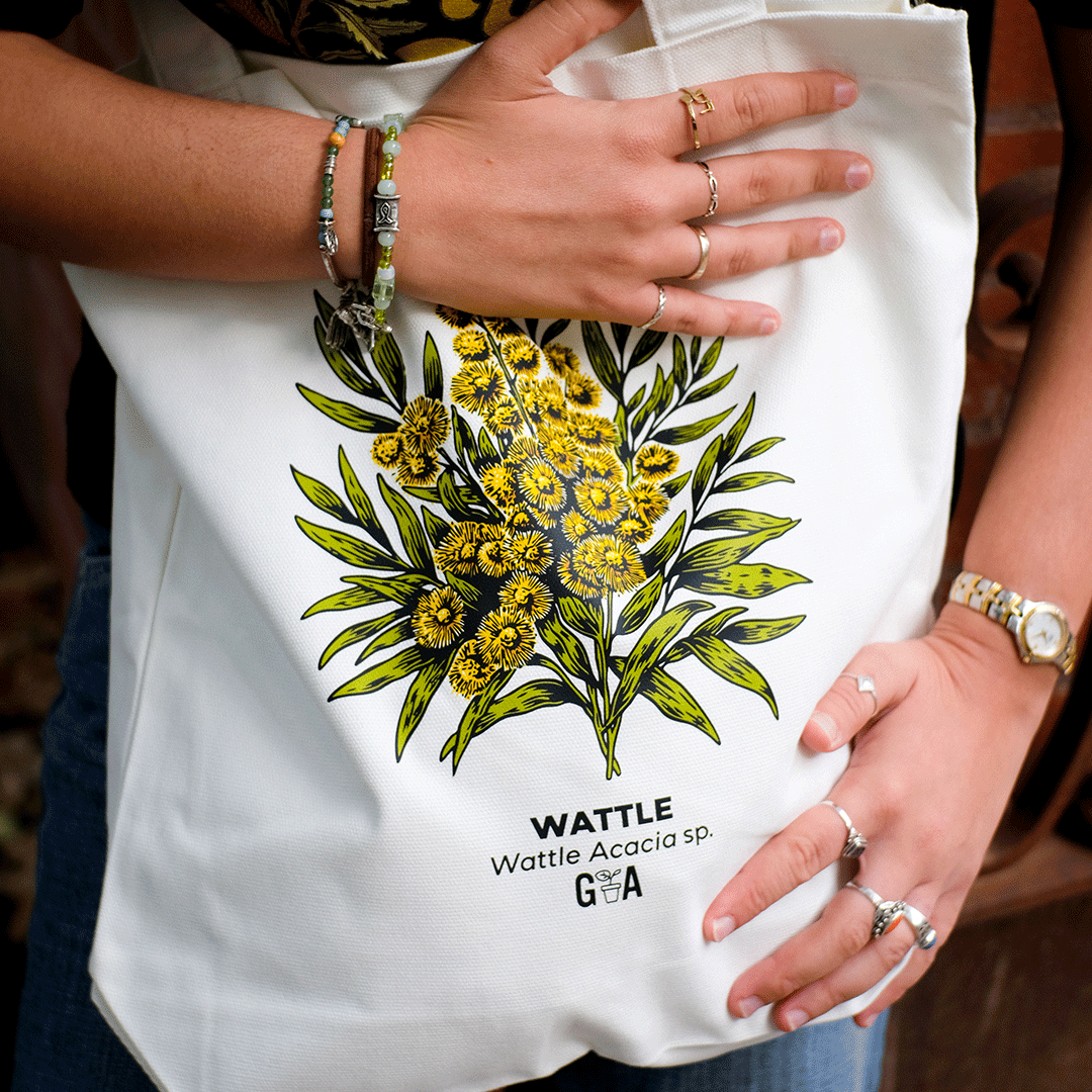 Wattle Acacia sp. Coloured Tote Bag