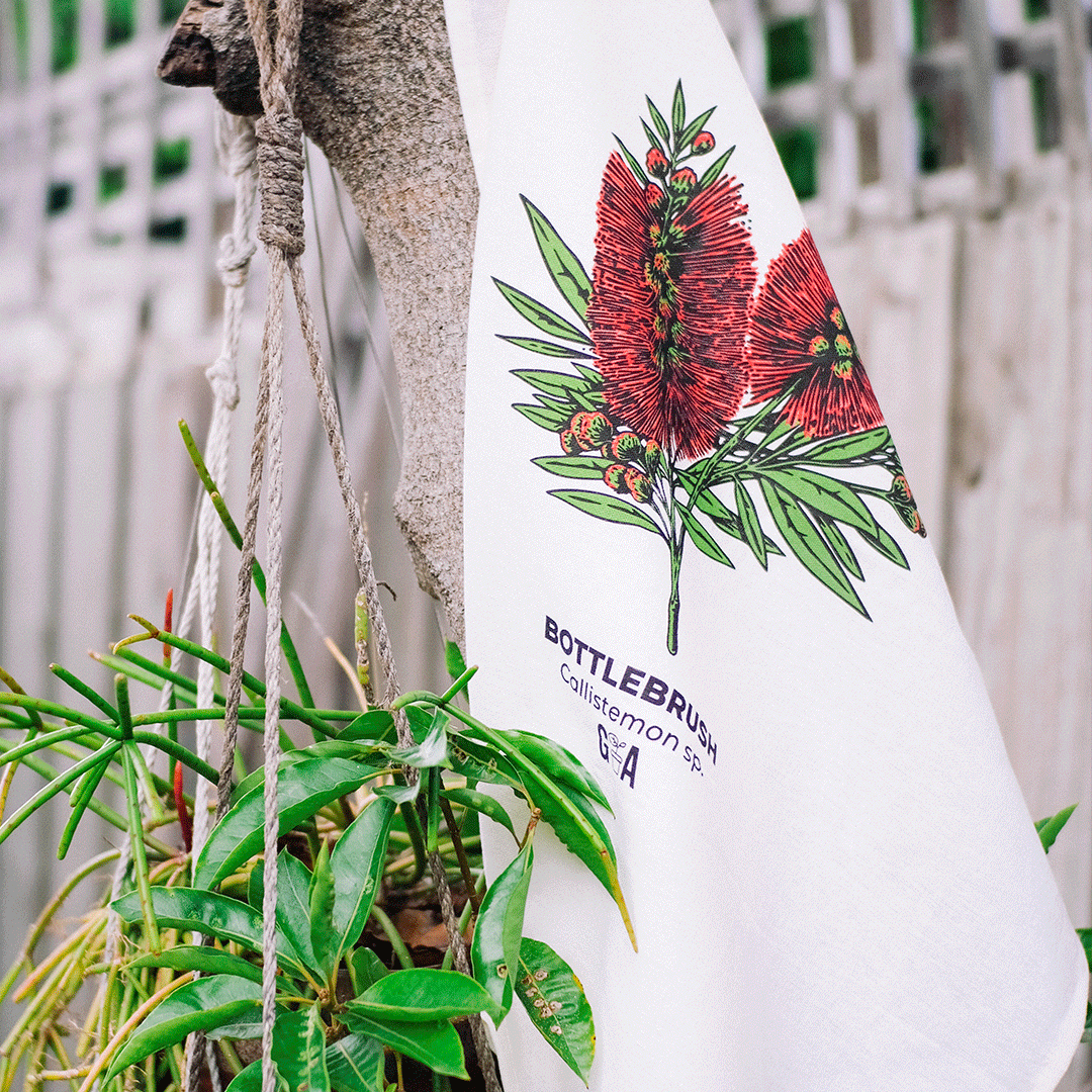 Bottlebrush Callistemon Coloured Tea Towel