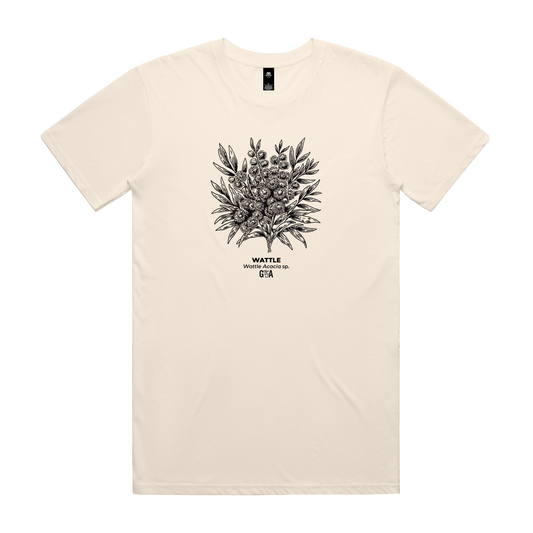 Wattle Acacia sp. Ecru Tee