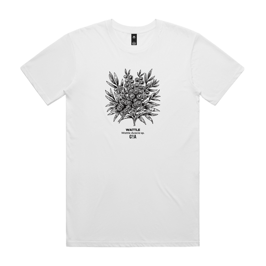 Wattle Acacia sp. White Tee