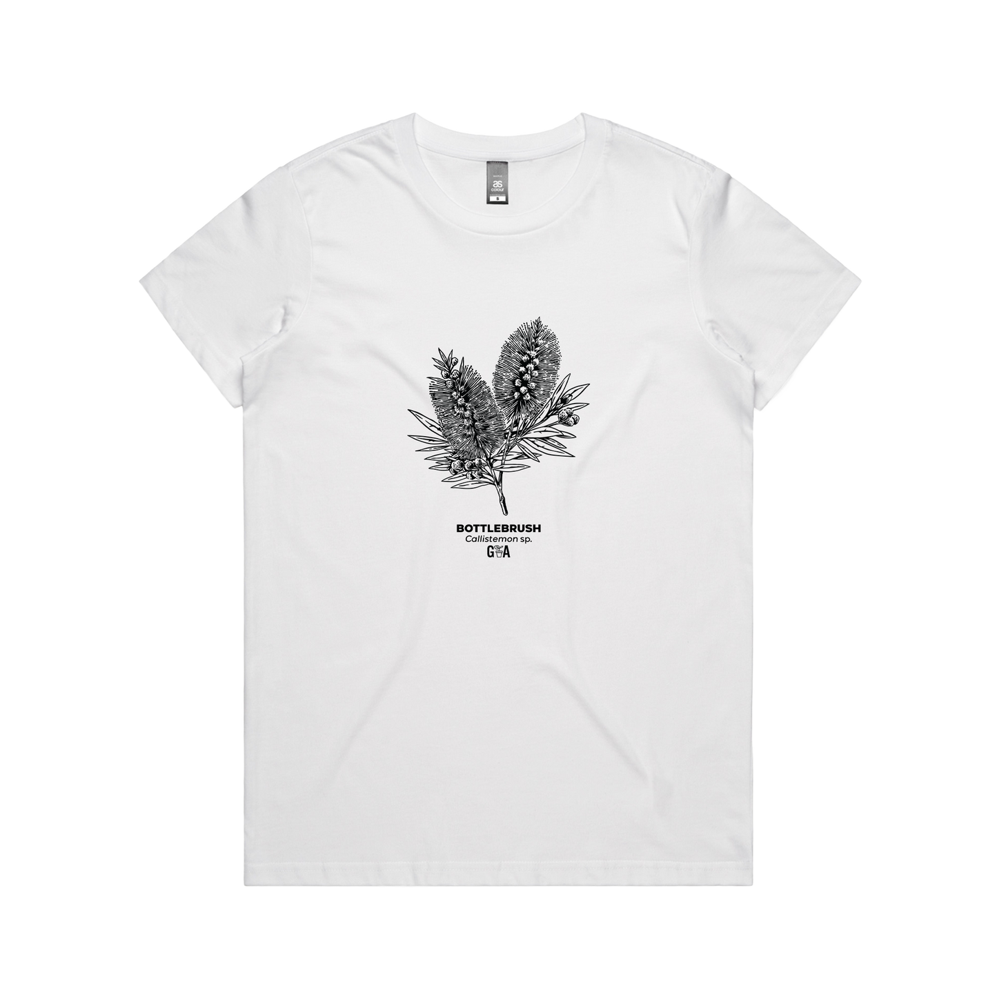 Bottlebrush Callistemon sp. White Women's Tee