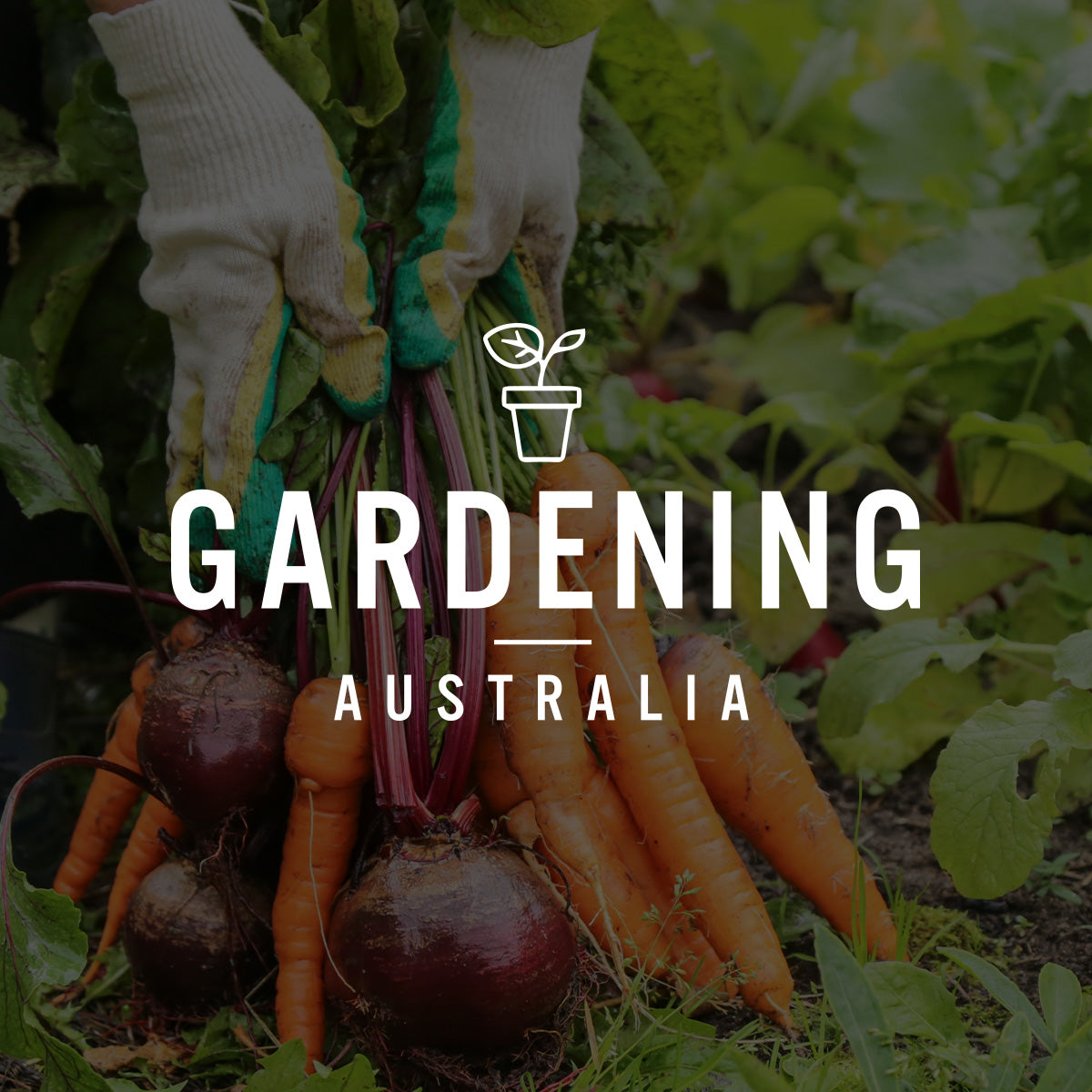 Gardening Australia