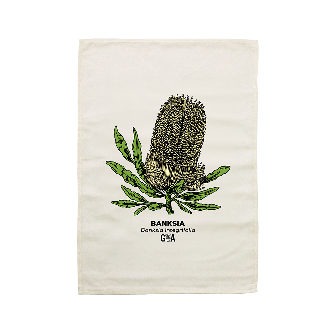 Banksia integrifolia Tea Towel