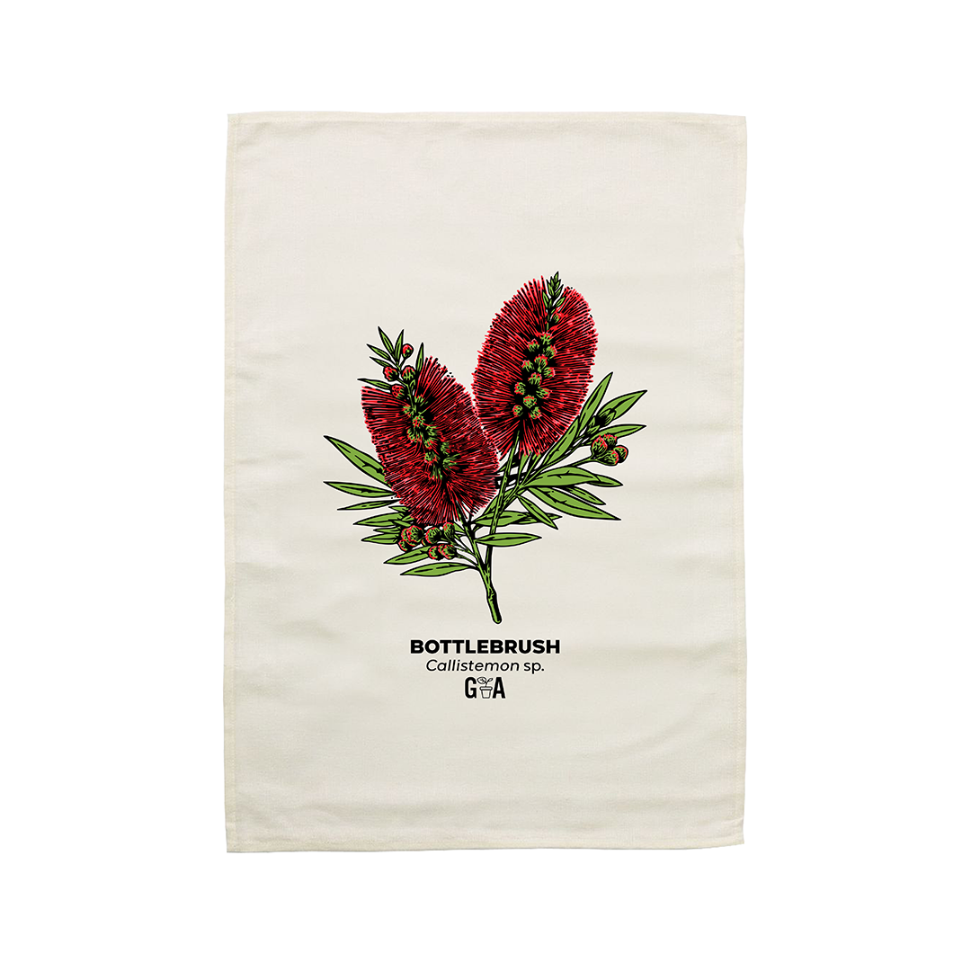 Bottlebrush Callistemon Coloured Tea Towel