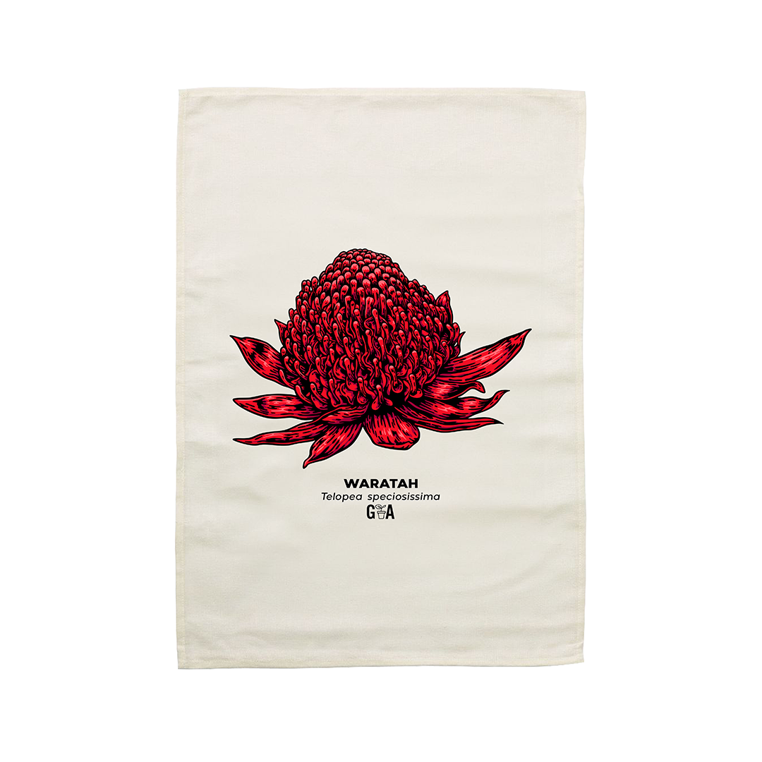 Waratah Telopea speciosissima Tea Towel
