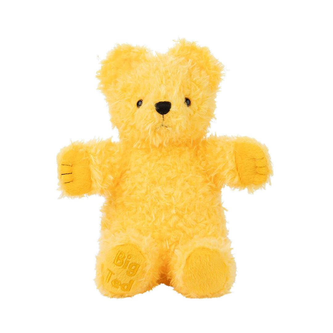 Big Ted Plush