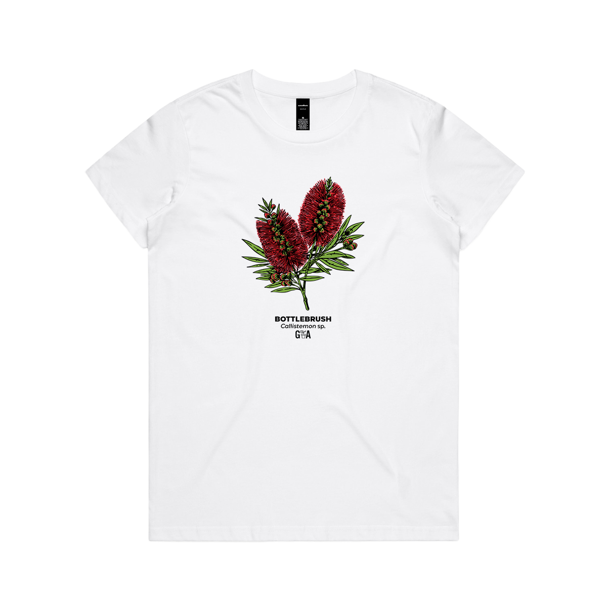 Bottlebrush Callistemon sp. Coloured Women's Tee White