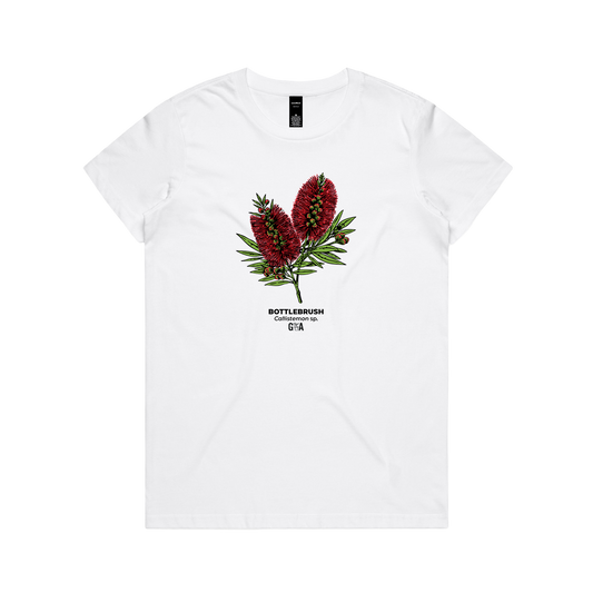 Bottlebrush Callistemon sp. Coloured Women's Tee White
