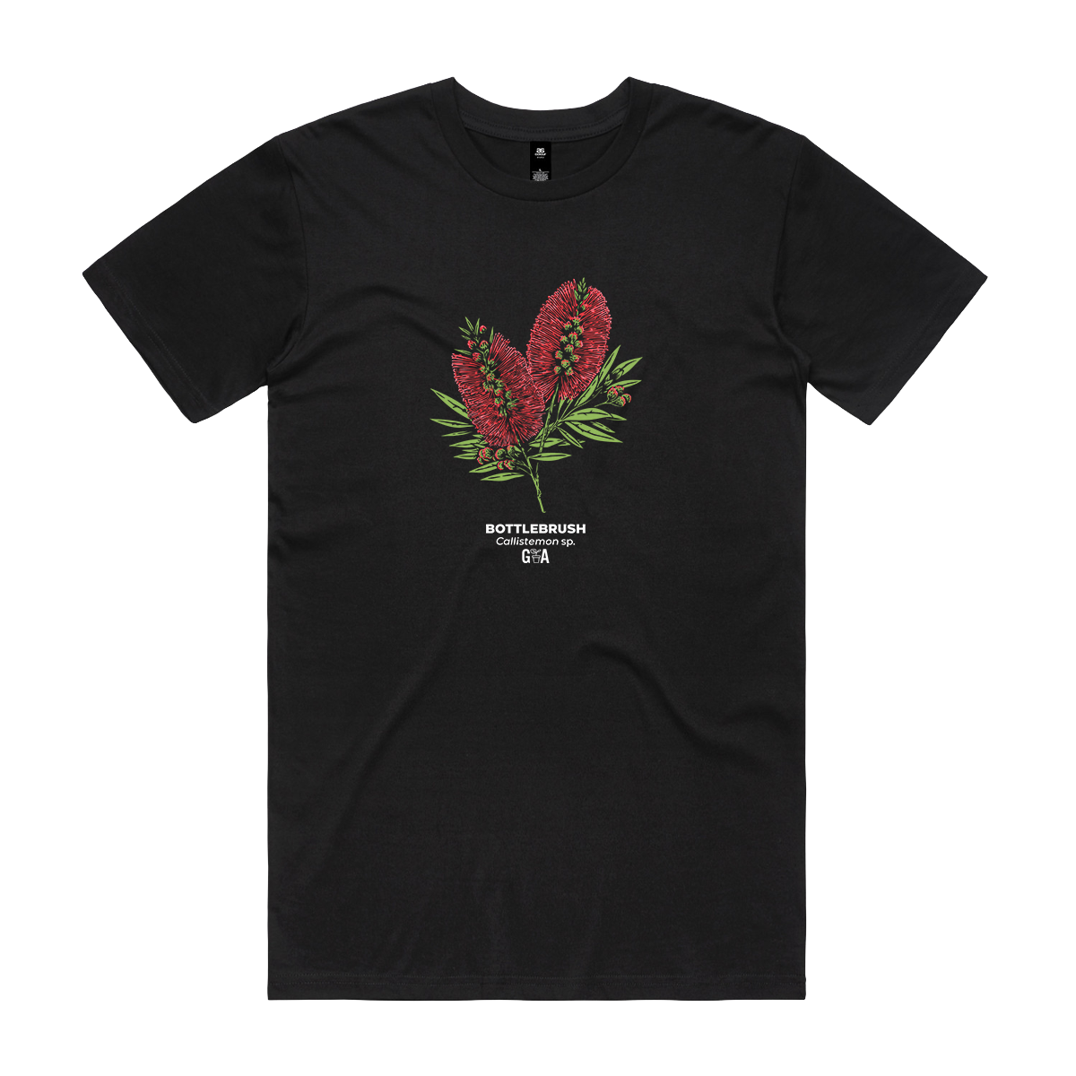 Bottlebrush Callistemon sp. Coloured Tee Black