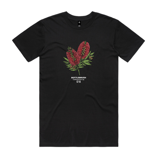 Bottlebrush Callistemon sp. Coloured Tee Black