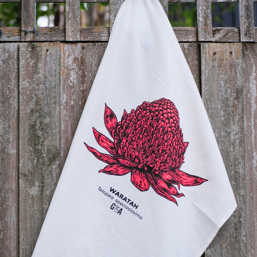 Waratah Telopea speciosissima Coloured Tea Towel