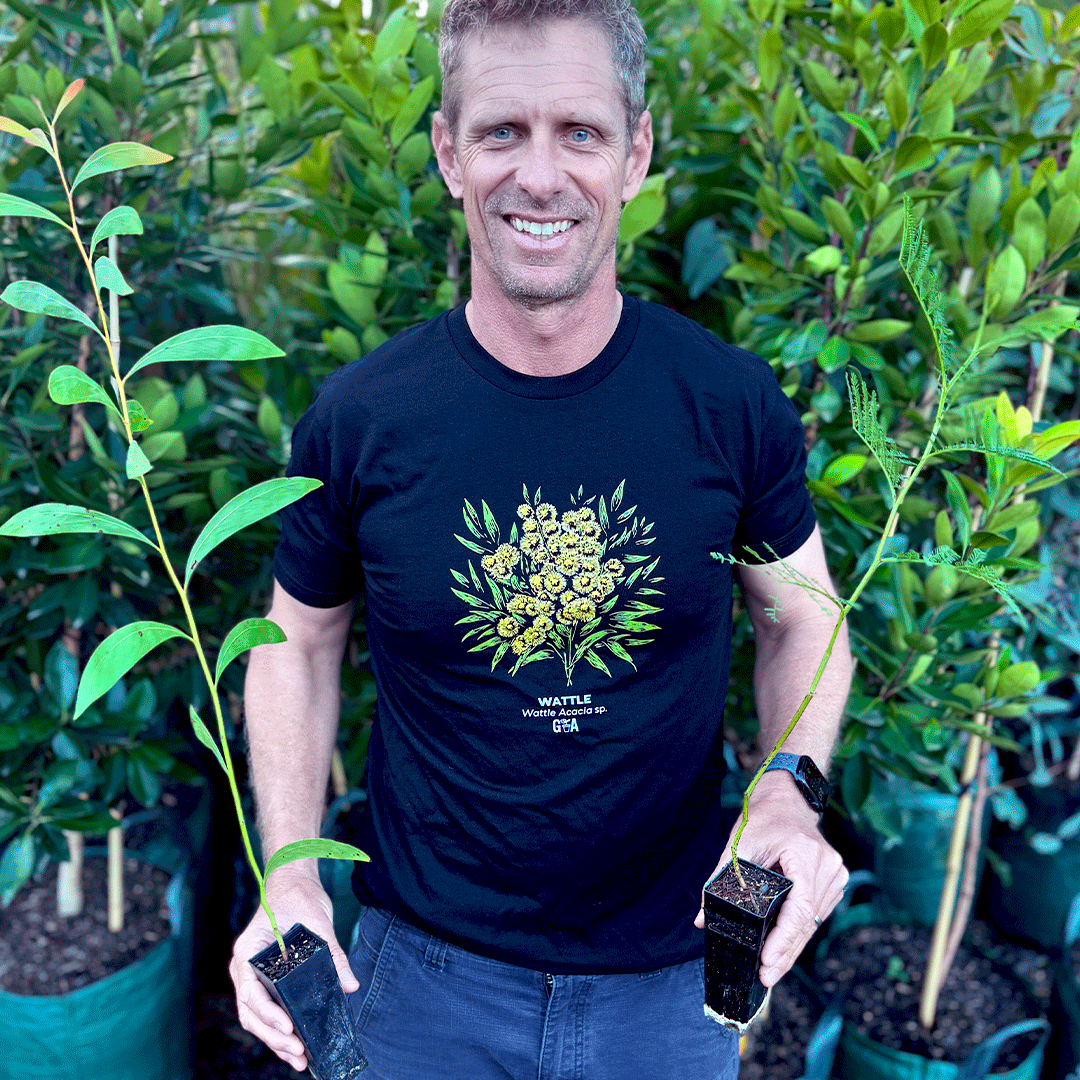 Wattle Acacia sp. Coloured Tee