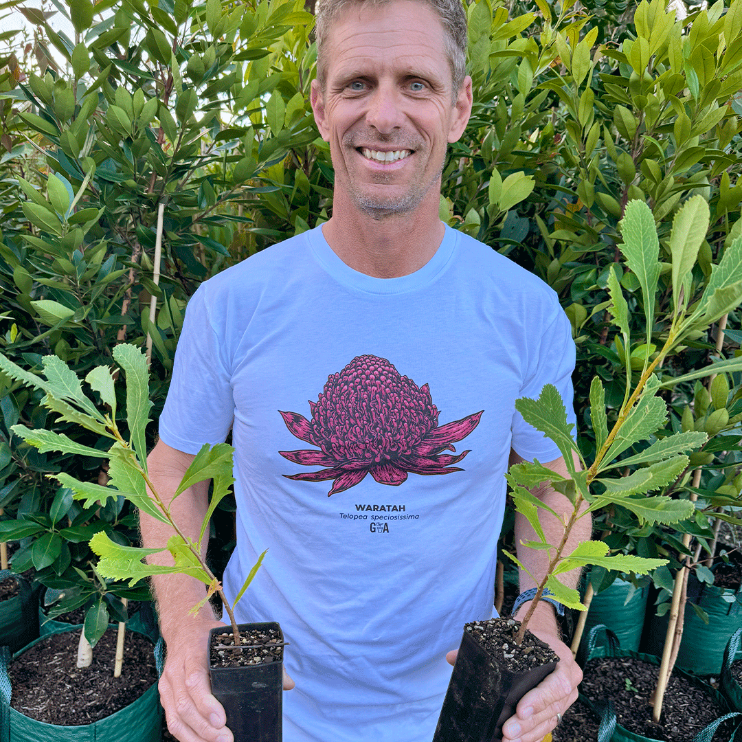 Waratah Telopea speciosissima Coloured Tee