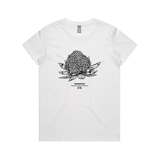Waratah Telopea speciosissima White Women's Tee