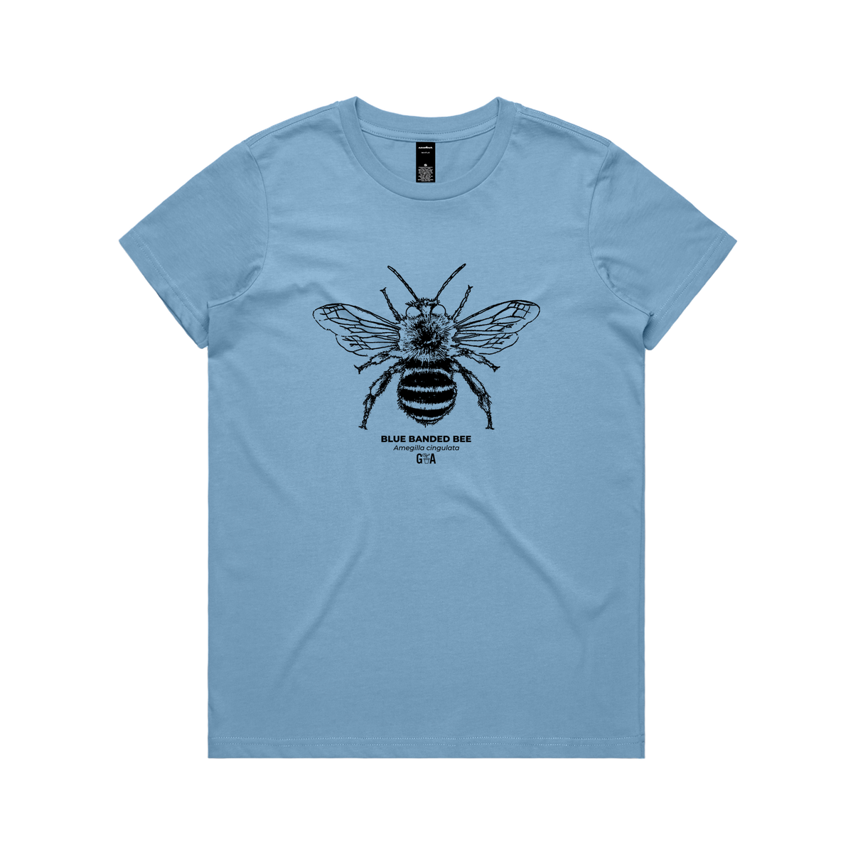 Blue Banded Bee Womens Tee Carolina Blue — Carolina Blue front